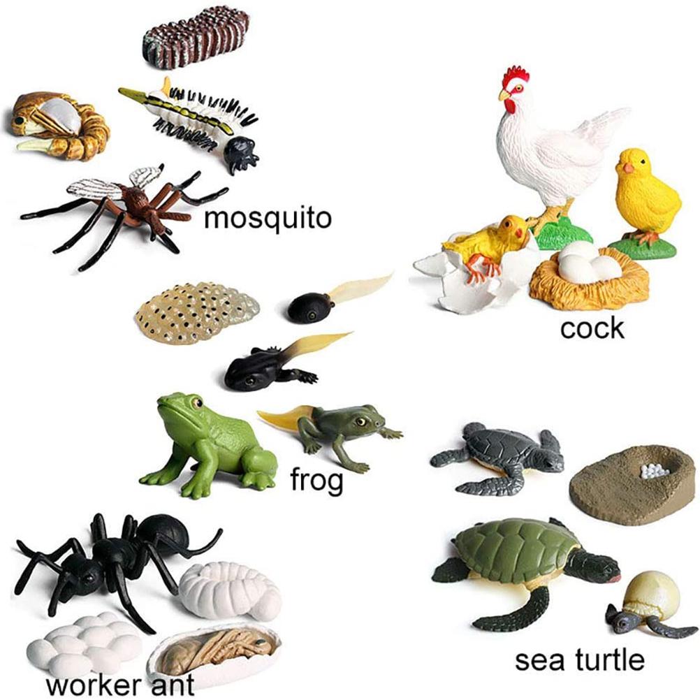 Modelo de Animal de Simulação Crianças Mini Animal Galo Formiga Sapo Tartaruga Mosquito Ciclo de Crescimento Figuras de Ação em PVC Boneca Brinquedo para