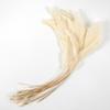 10Pcs Natural Feather Rooster Feather Multicolor Craft Feathers  Wedding Decor