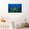 Turtle In the Blue Ocean Canvas Pictures Artwork 3 Panel Marine Life Painting Prints for Bathroom Living Dining Room Kitchen No Frame