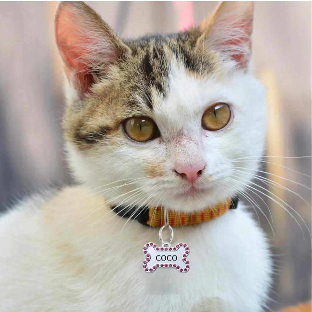 Bronze VIP Individuell Gravierbar Haustier ID-Marke Personalisierte Hausnummer Hund Katze Namensschild Halsband ID Anhänger