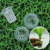 Plastic Vegetable Net Cups 35*35mm 100pcs Vegetable Net Cup Vegetables Pots