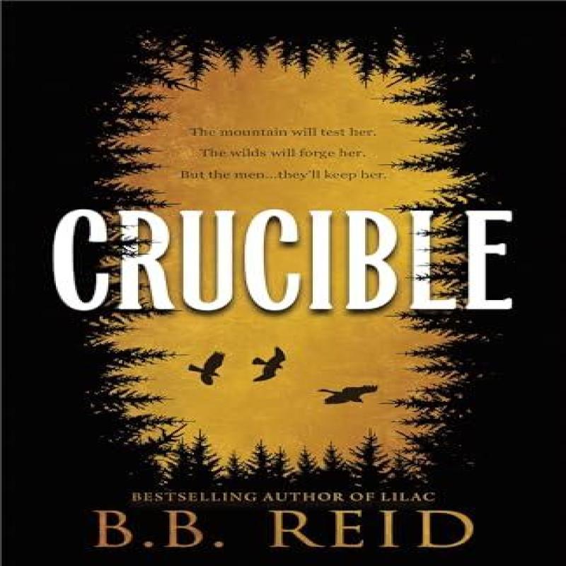 Crucible by B.B. Reid Paperback Book 9781464281921