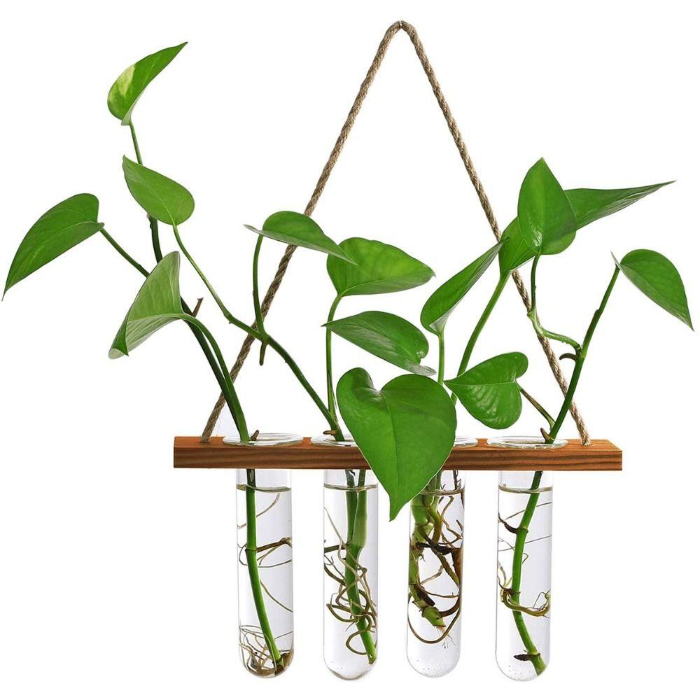 Retro Wood Frame Vase Wall Hanging Transparent Glass Vase Glass Planter Plant Vase  Office