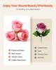 Fiori Eterni, 27 Rose Stabilizzate in una Scatola a Forma di Cuore, Bouquet Immortale di Fiori Eterni Regalo di Compleanno per Donne Lei Moglie Madri, Anniversario,