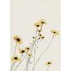 Sailboat Swimming Pool Ocean Floral Minimalist Wall Art Canvas Painting Posters and Prints Wall Pictures for Living Room Decor