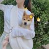 Crossbody Bag Cat Carrier Bags Cat Dog Sling Bag Shoulder Bag Puppy Carrier Bag  Pet Carrying
