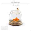 Round Glass Desktop Fish Tank, Small Betta Aquarium, Creative Office Decor 7.5x10cm