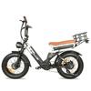 BAOLUJIE DP2033 All-Terrain Electric Bike 20*4.0 Inch Fat Tires 2000W Dual Motor 48V/30Ah Dual Battery Oil Brake