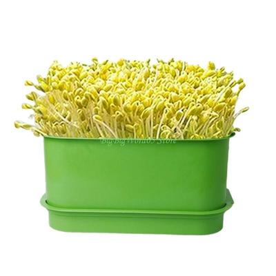 24TE Sprout Horticultural  Sprouting Tray Garden Indoor  Sprouting Tray