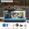 SEE KEAN Desktop Aquarium
