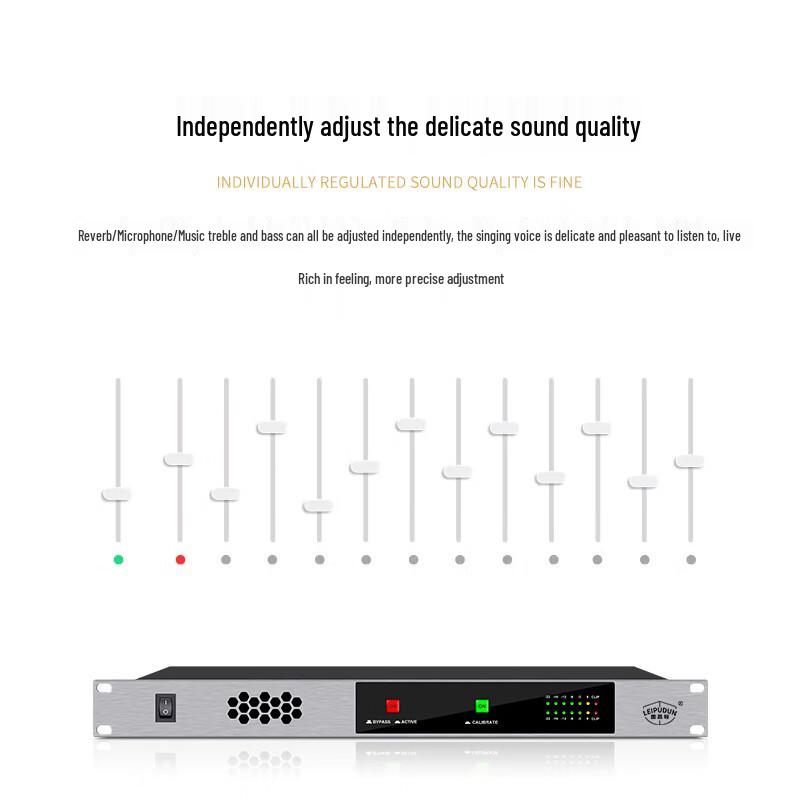 LEIPUDUN FL-41 Automatic Feedback Suppressor Audio Processor (CN Version)
