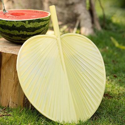 Accesorii – Evantaie