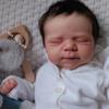 BZDOLL 48 CM 19inch 3D-paint Skin with Visible Veins Soft Touch Cloth Body Soft Vinyl Asleep Reborn Baby Doll Newborn Bebe Girl Toy for Girl
