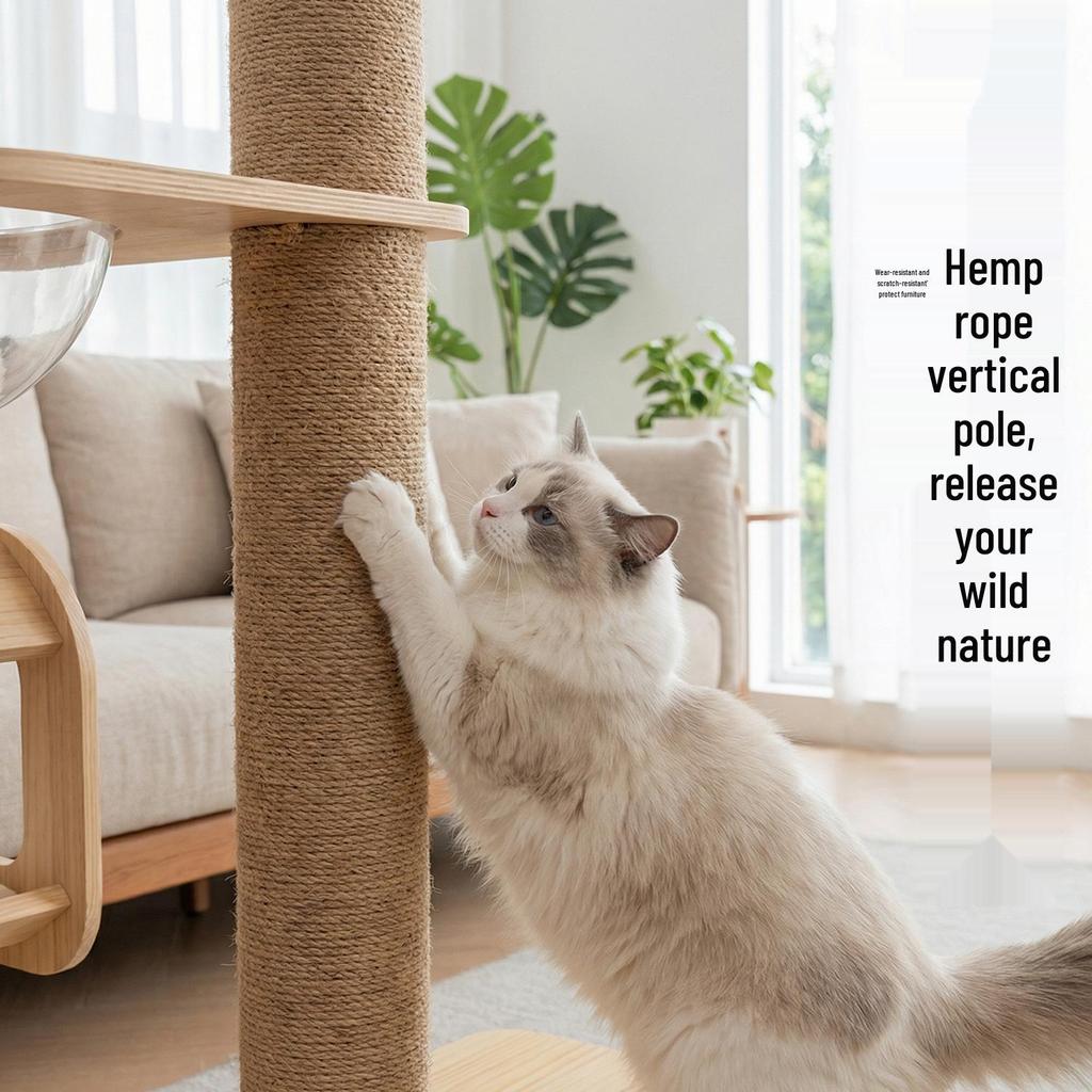Space-Saving Wooden Multi-Level Cat Tree with Integrated Capsule Bed