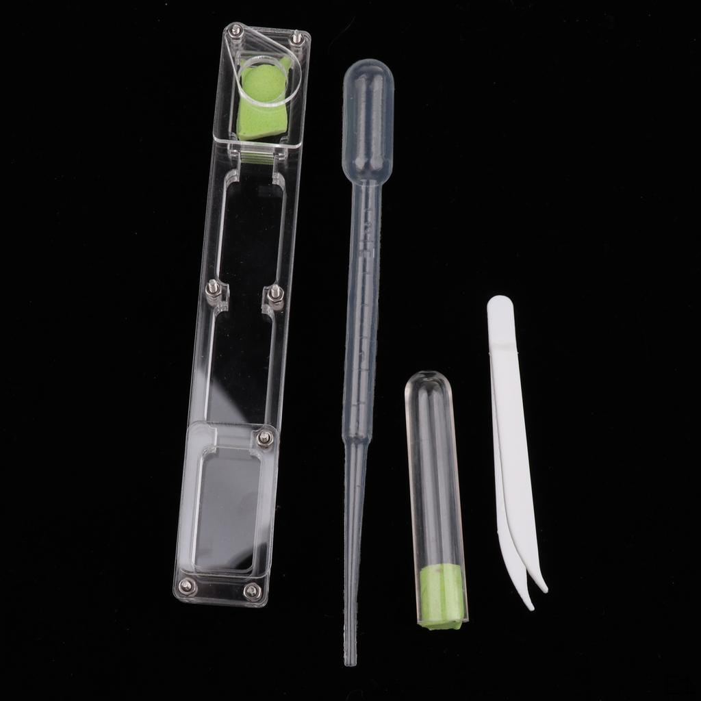 Small Housing Acrylic Nest Feed Farm Formicarium Box