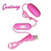 20model Vibrator Clitoral G-Spot sex product Jump Egg usb power Vibrator Bullet remote control vibrating egg Sex Toys for Women