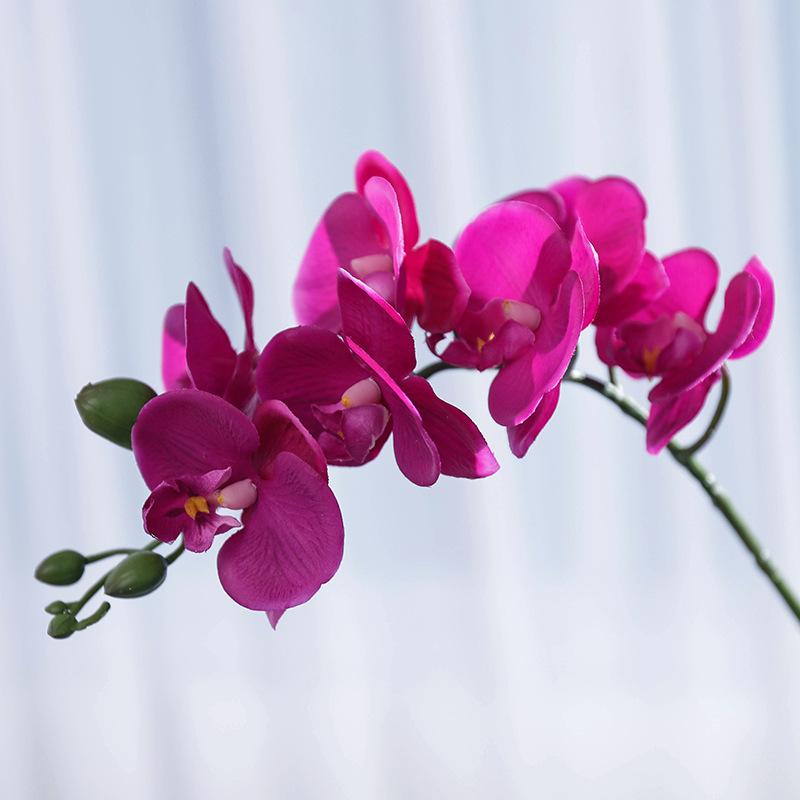 Moisturizing Phalaenopsis simulated flower home furnishing hotel wedding decoration fake flower bonsai simulated plant
