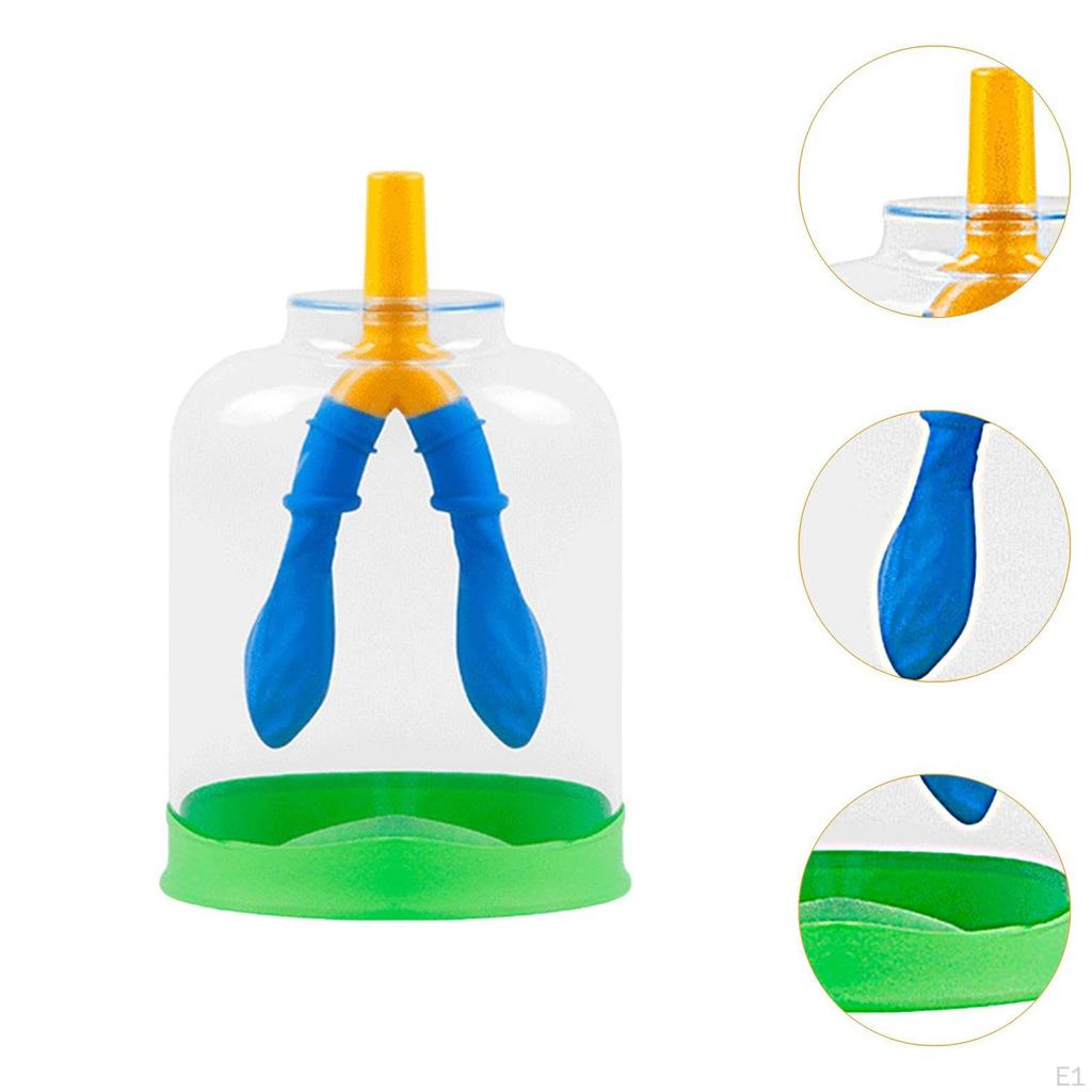 Lung Function Demonstration Model Classroom Teaching Aid DIY Breathing Simulation Device for Ages 8+