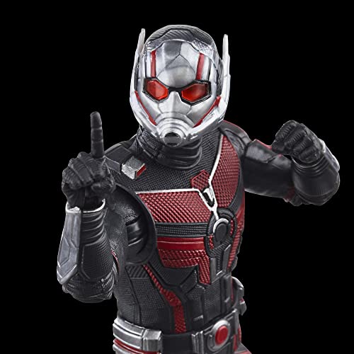Hasbro Marvel Legends Series Ant-Man, Ant-Man and the Wasp: Quantumania 6-inch (15cm) Action Figure, Ages 4 and Up, F6573, Authentic