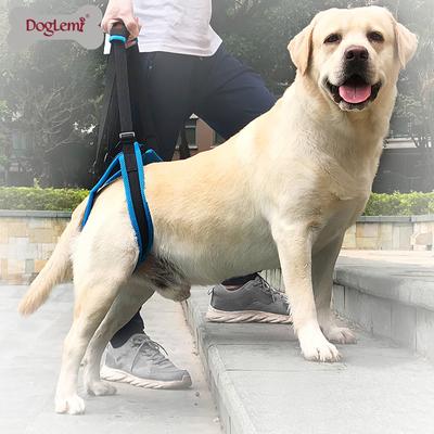 Dog Stair Aid Carrier Pet Leg Walking Brace Brace for Older Dogs Back Leg Disability Injury Supplies