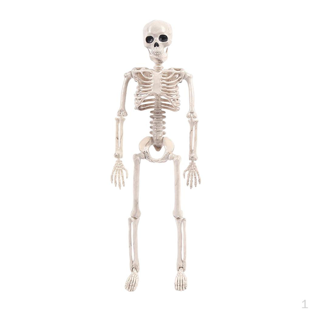 

Пластиковая модель скелета на Хэллоуин с регулируемыми шарнирами ужасна