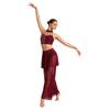 Completo Danza Lirica da Donna Crop Top con Strass e Spalline a Collo Alto Pantaloni a Gamba Larga in Rete Gonna Dancewear