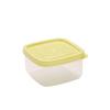 Square Plastic Food Sample Storage Containers (10-Pack)