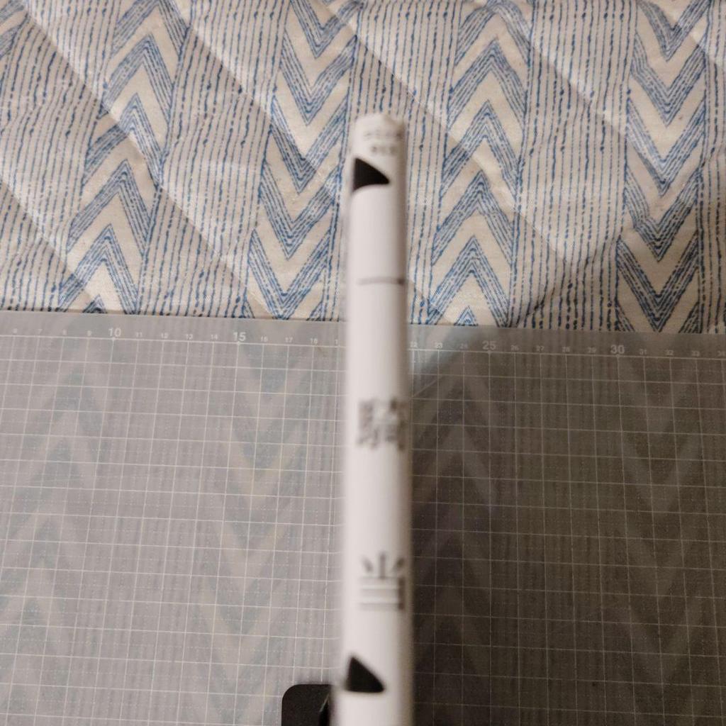 [USED] Ikki Tousen Master Works Yuji Shiozaki Art Collection