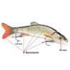 5 Segments Fishing Lure Crank Bait Hooks 3D Eyes Fish Shape Tackle Tool