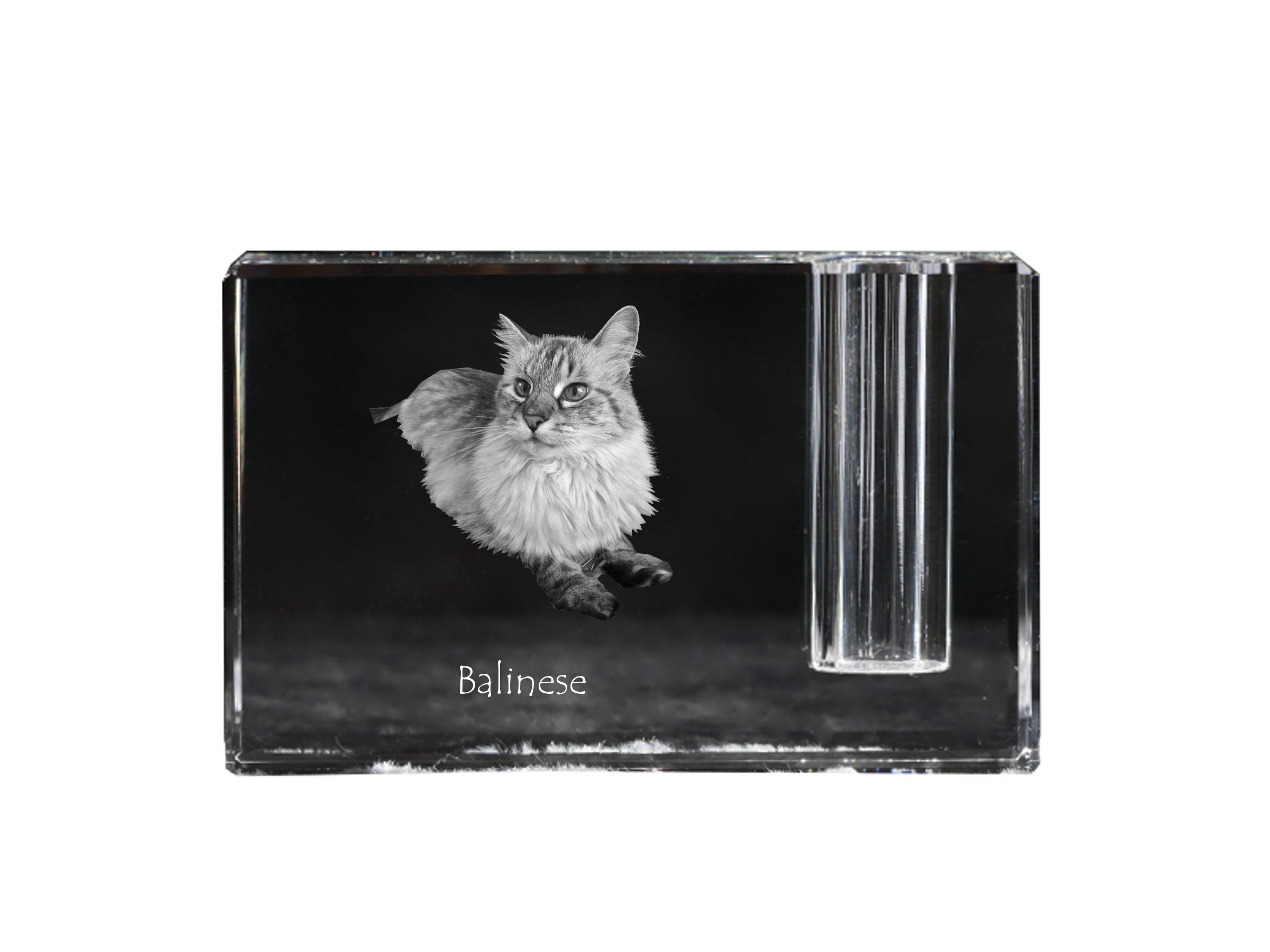 Balinese - Portapenne, organizer in cristallo con foto di gatto, decorazione da scrivania unica del marchio Art-Dog trasparente