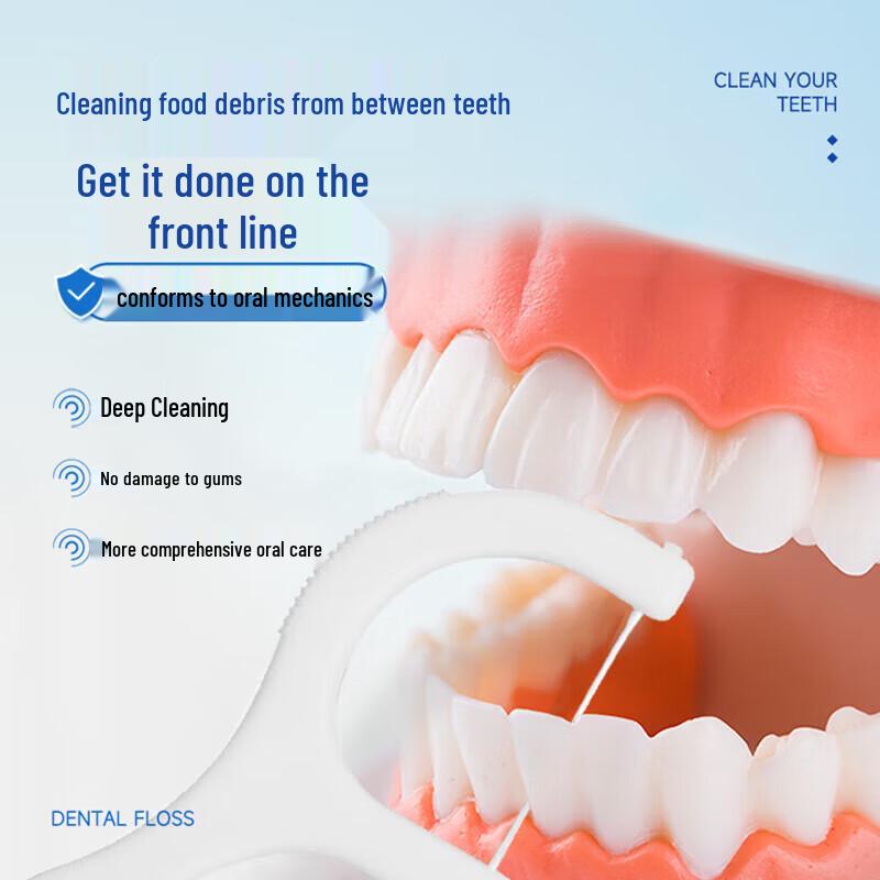 Haishi Hainuo Dental Floss Picks