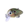 Mikro Köder 1.5G Mini Chubby Köder Set - Künstlicher Fischköder für Angelausrüstung
