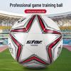 Star Football 1000 Professional Hand-Stitched Match Ball