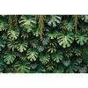 MOON.QG Tropical Leaves Backdrops Spring Garden Backgrounds Green Grass Photo Wall Customized Name Birthday Wedding Photocall