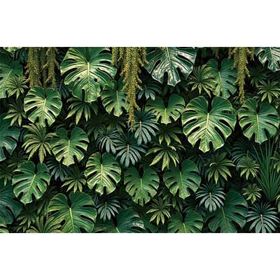 MOON.QG Tropical Leaves Backdrops Spring Garden Backgrounds Green Grass Photo Wall Customized Name Birthday Wedding Photocall