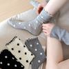 Female Spring and Summer Thin New Wave Dot All Kinds of Wooden Ear Side Mesh Cotton Tube Pile Socks