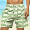 Summer Men's Striped Checked 3D Printed Beach Shorts