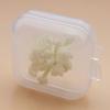 10Pcs Small Box Square Transparent Plastic Box Jewelry Storage Case Container