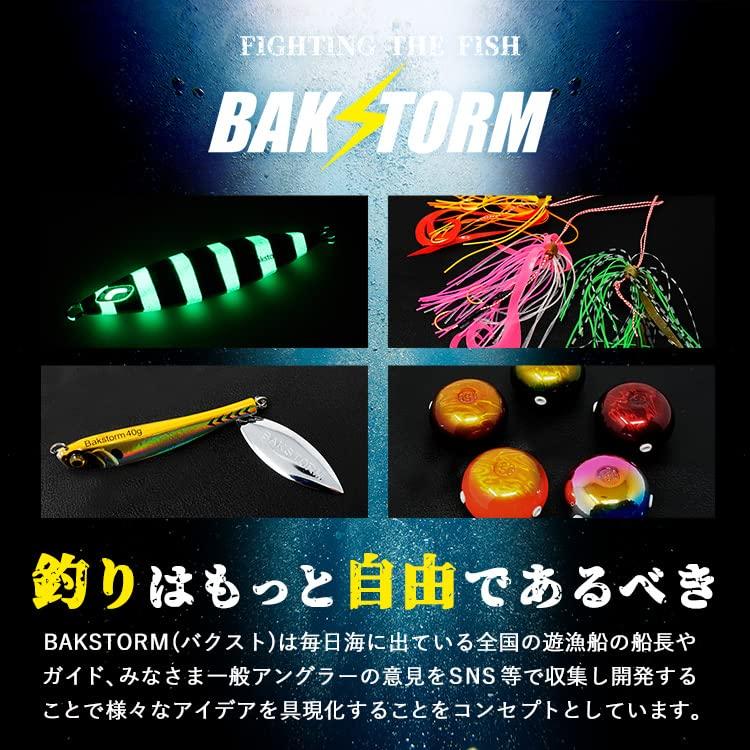 Reef Slow Fall Type E Metal Jigging Fishing Slow Silver Jig, 320g, Lure, Jig, Sinker, Tackle, Jigging, Amberjack, Grouper, Rockfish, Rockfish,