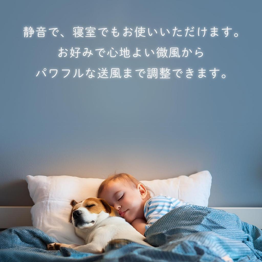 HotaluX LED Ceiling Fan XZF-06665WRCSGA, DC Motor, Suitable for Rooms Up To 6 Tatami Mats (Japan Lighting Manufacturers Association Standard),