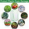 Durable Mesh Plant Tent Providing Effective Insect Barrier for Garden and Balcony Plant Featuring Ventilation Design