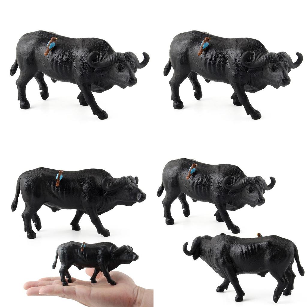 Búfalo de Agua Animal Salvaje Modelo Juguete de Plástico Para Niños Sala de Juegos Educativa Decoración