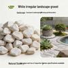 White Crushed Stone Pebbles for Garden Paving and Dry Landscape Decor