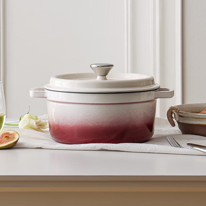 COSTA 24cm Cast Iron Enamel Dutch Oven