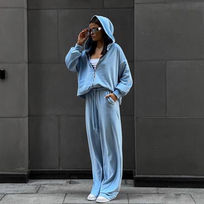 Ensemble deux pièces décontracté automne européen et américain 2026 pour femme couleur unie cardigan à manches longues haut à capuche pantalon de sport