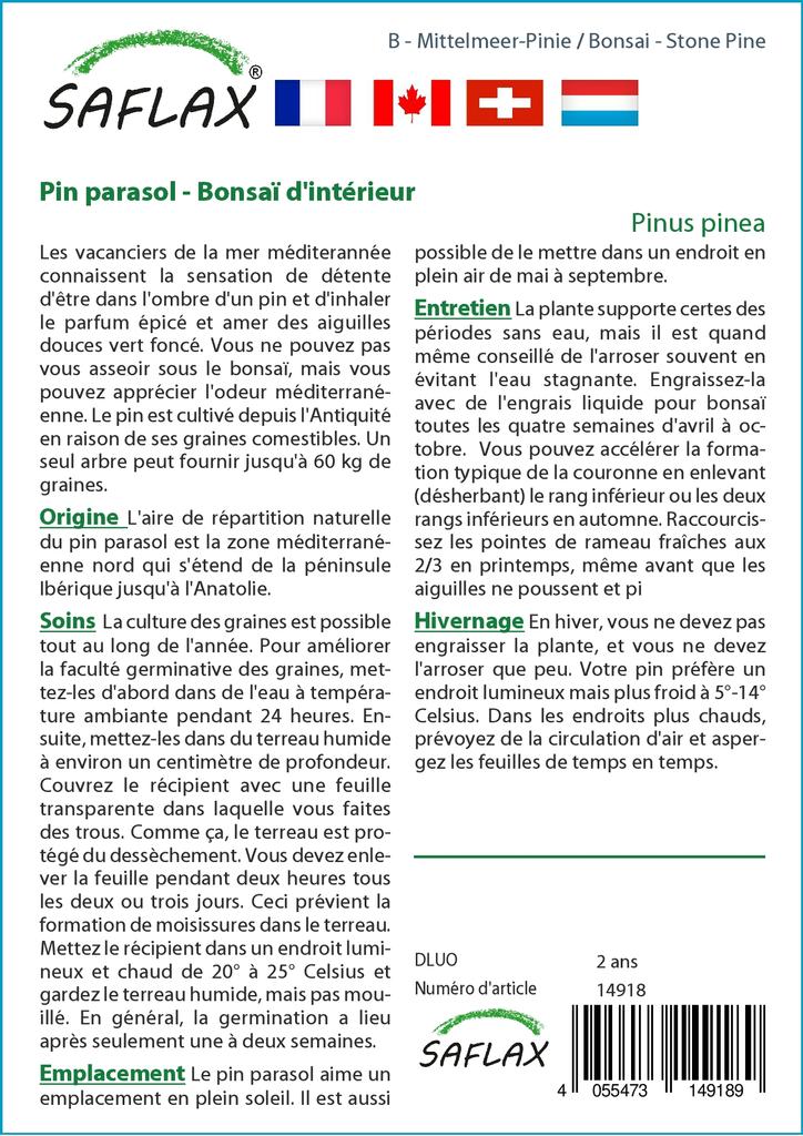 SAFLAX Garden In the Bag - Bonsai - Stone Pine - 6 Seeds - With Substrate In a Fitting Stand Up Bag - Pinus Pinea