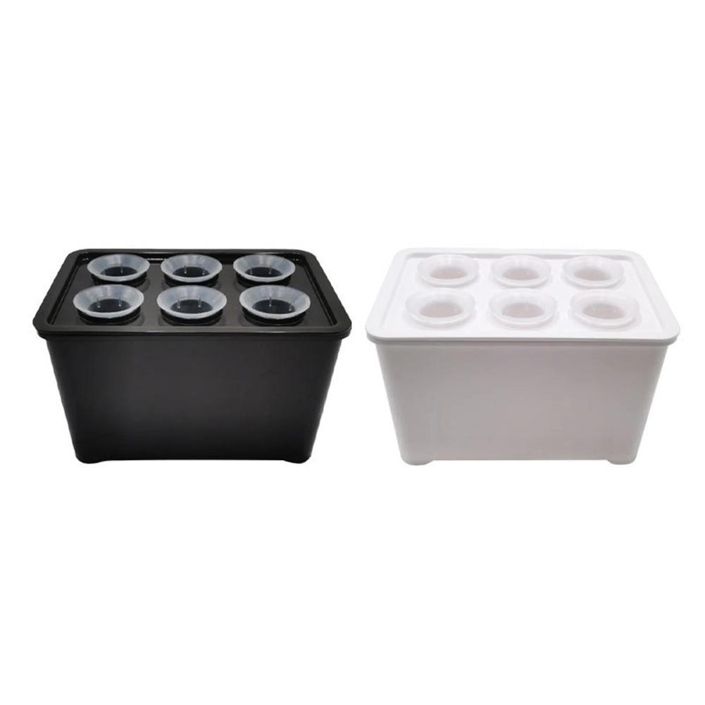 Household Hydroponics Growing Box 6 Holes Indoor Cultivation System with Water Circulation for Better Root Health China Mainland