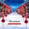 Solar Christmas Cane Pathway Lights