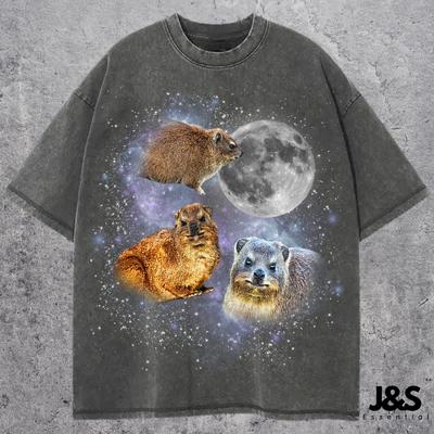 Üst giysisi – T-shirtler