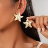 Acrylic Pentagram Pleated Glossy Steel Needle Stud Earrings Versatile Earrings